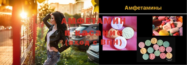 гашик Алексеевка