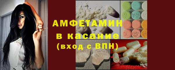 шишки Аркадак