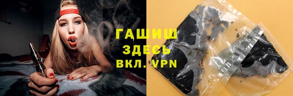 шишки Аркадак