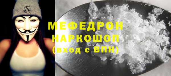 шишки Аркадак