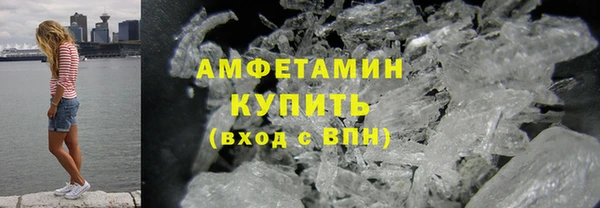 шишки Аркадак