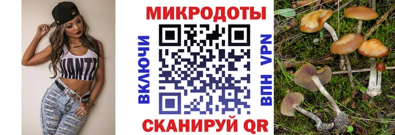 Галлюциногенные грибы Psilocybe  наркошоп  Жуковка 